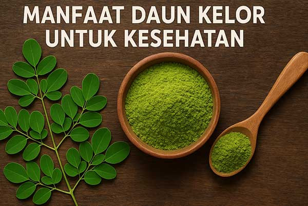 Manfaat Daun Kelor untuk Kesehatan